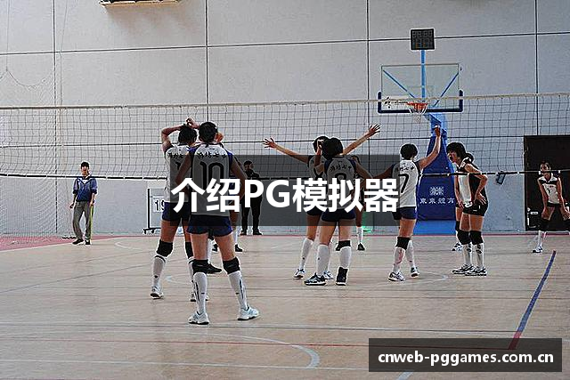 介绍PG模拟器